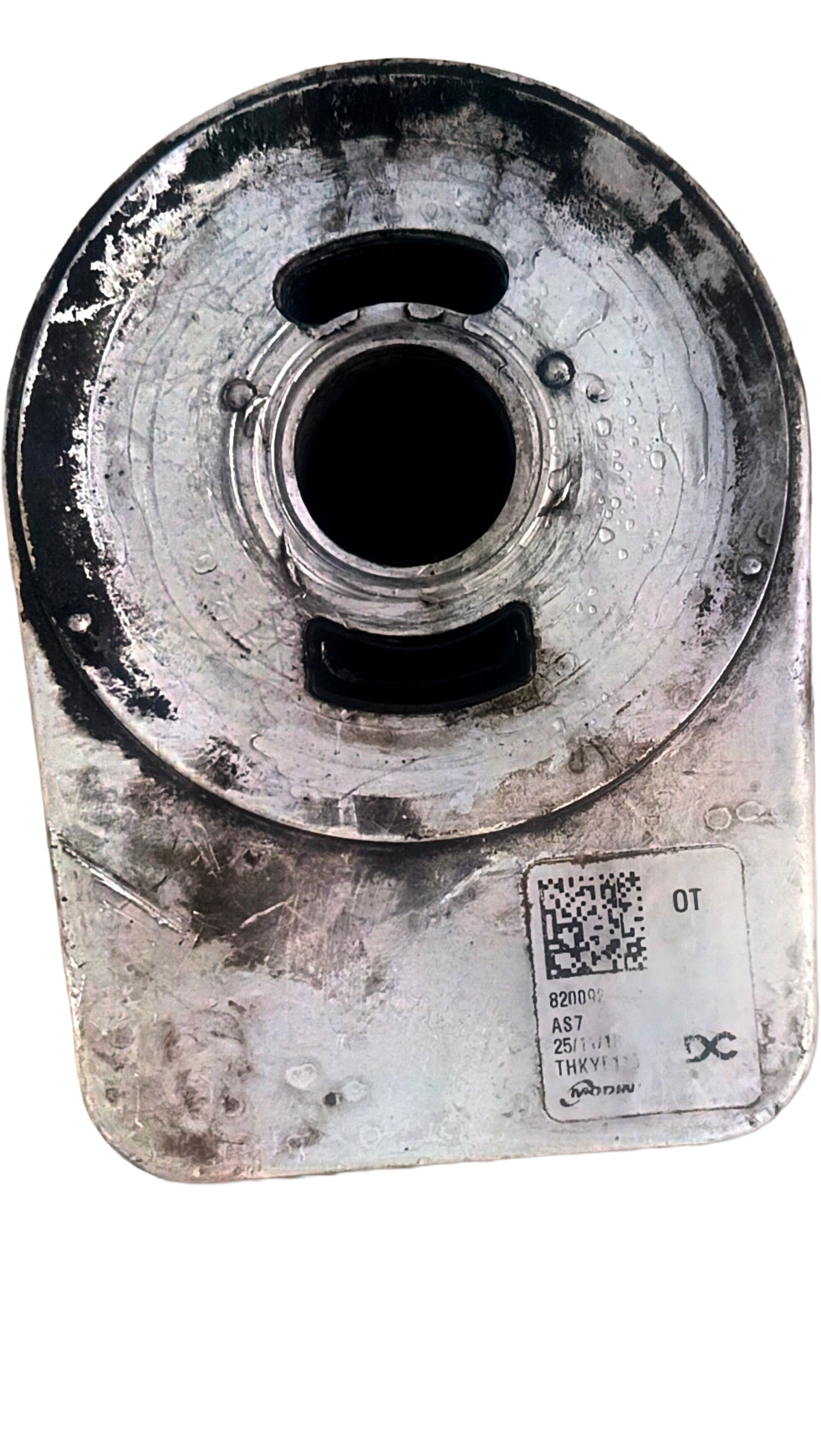 Refroidisseur d'huile moteur – Groupe Renault-Nissan – Moteur 1.5 dCi (K9K) – 2001-2026  clio megane scenic kangoo modus twingo captur duster sandero logan lodgy dokker quashqai juke note micra nv200 kubistar  classe a classe b cla