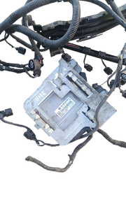 faisceau electrique et Unité de commande moteur – Volkswagen Golf V / Golf Plus / Passat – 1.6L Essence 102 ch (BSE) – 2003-2008