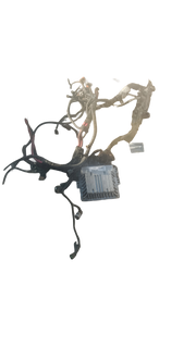 faisceau et Calculateur moteur – Groupe Renault (Mégane III, Laguna III, Scénic III, Fluence) – Moteur 1.5 dCi (K9K) – 2008-2016